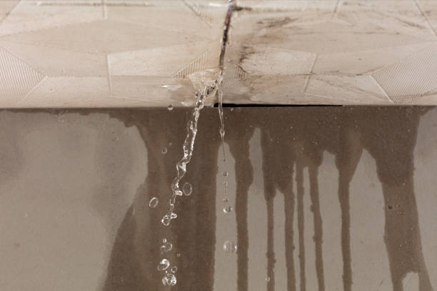 Professional Structural Drying technician working in Summitville, OH